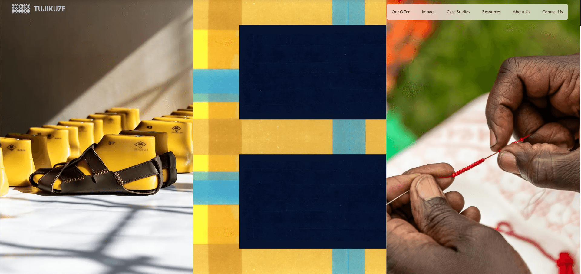 Project of Tujikuze portal website