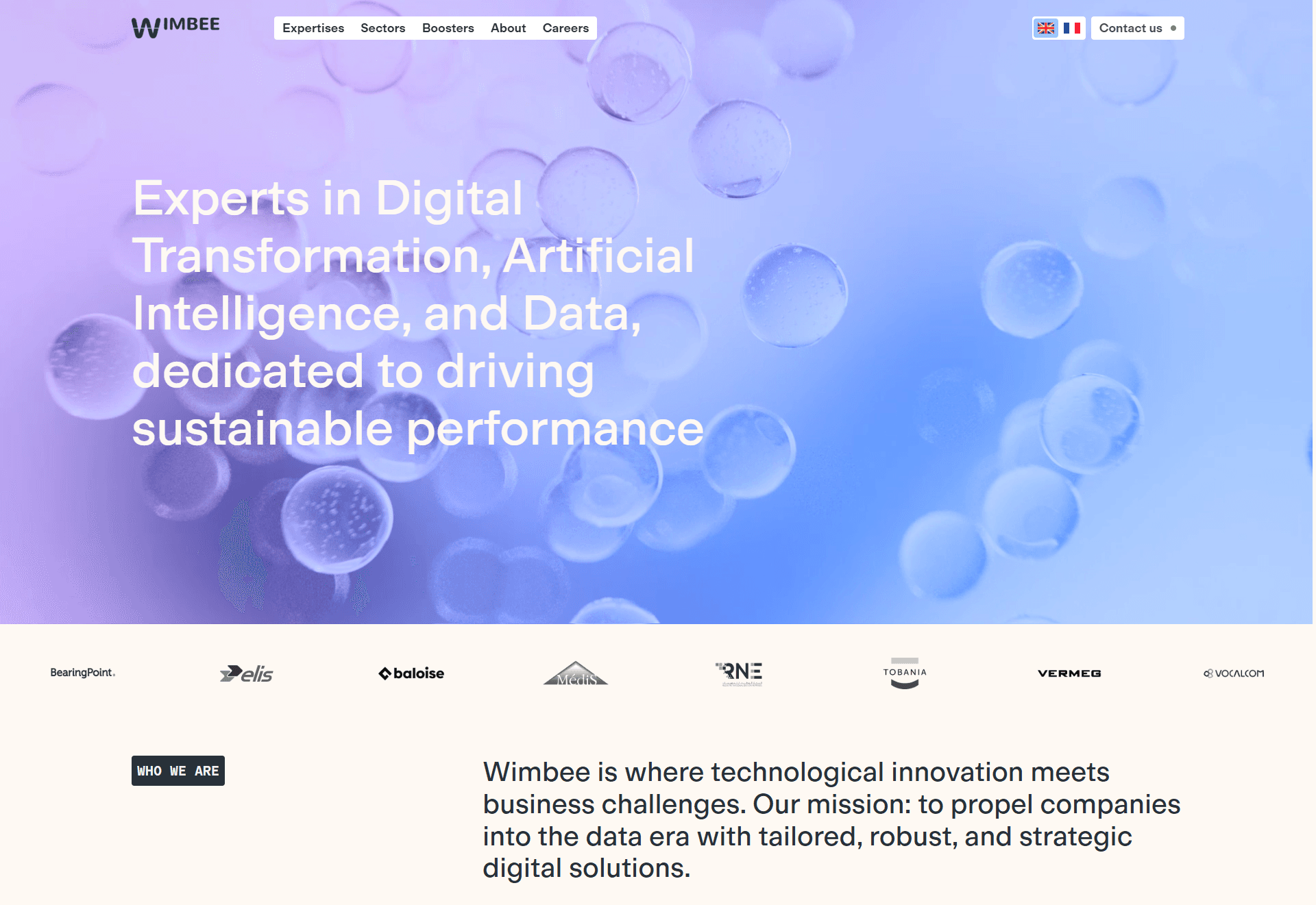 Project of Wimbee Tech portal website